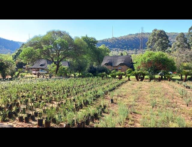 37HA FARM FOR SALE IN NELSPRUIT RURAL